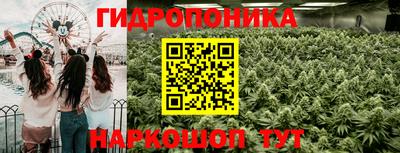 сатива Волжск