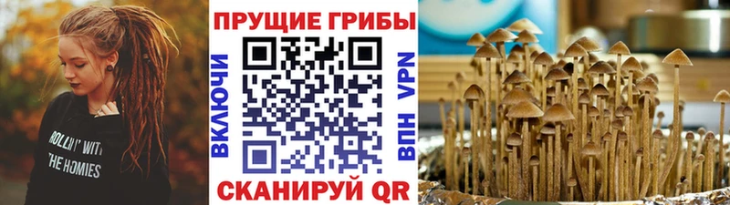 купить наркотики сайты  Крымск  Псилоцибиновые грибы Magic Shrooms 