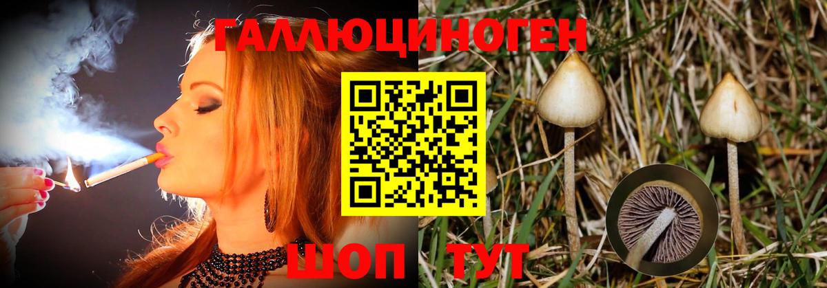 Псилоцибиновые грибы Cubensis Крымск