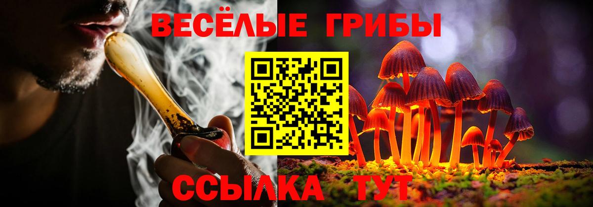 Псилоцибиновые грибы Magic Shrooms  Галлюциногенные грибы Psilocybe  Крымск  Вход с VPN 